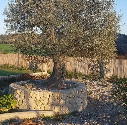 Finca Son Miro
