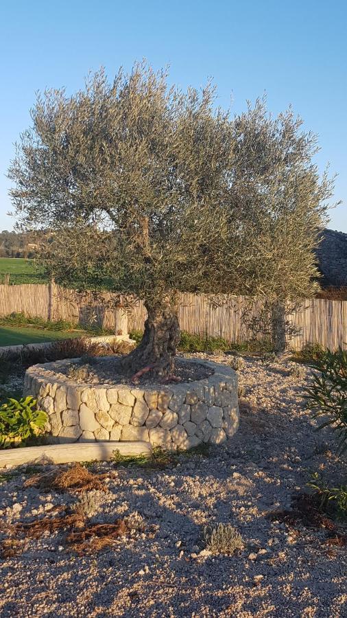 Séjour chez l'habitant Finca Son Miro Montuiri (Mallorca)
